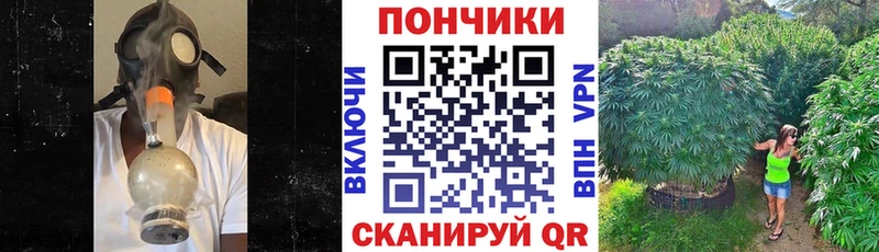 Бошки Шишки марихуана  Вихоревка 